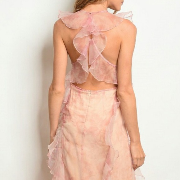 Blush Nude Dress 101 - Picture 5 of 5